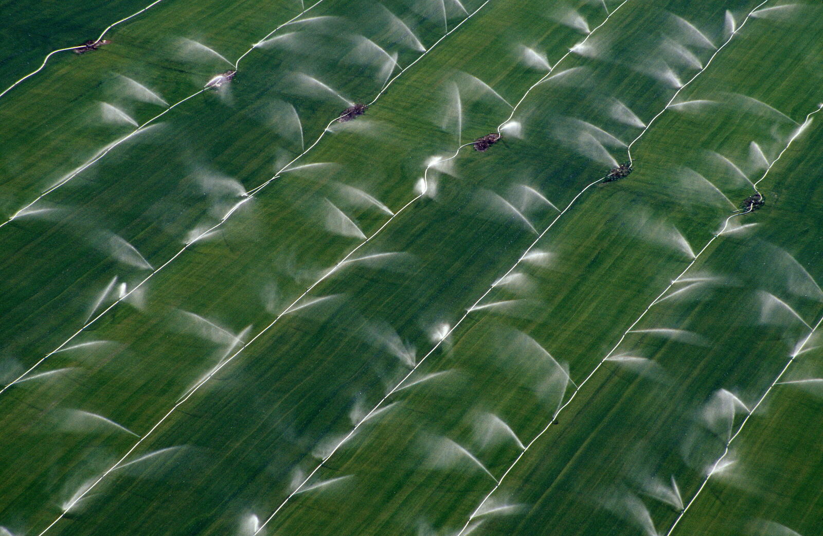 Aerial view of sprinklers irrigating a field